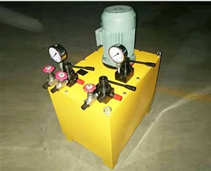 天津非标电动泵生产