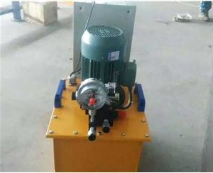 天津标准电动泵供应生产